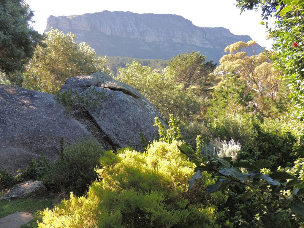 Intaba Lodge Hout Bay Extérieur photo