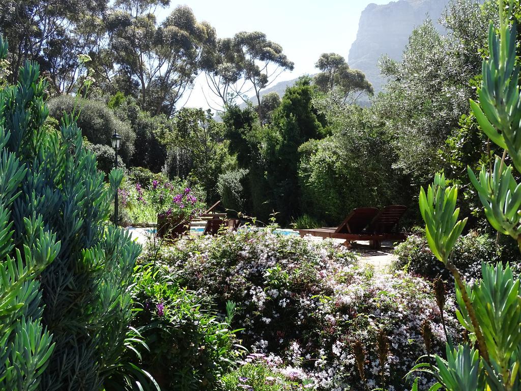 Intaba Lodge Hout Bay Extérieur photo