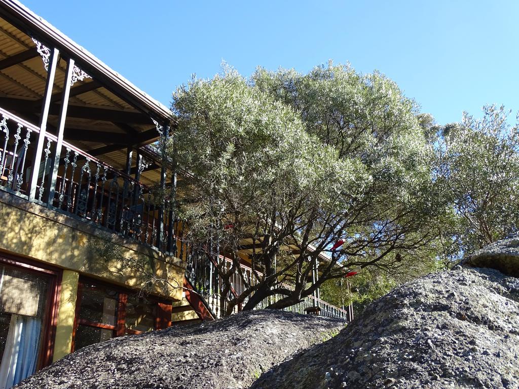 Intaba Lodge Hout Bay Extérieur photo