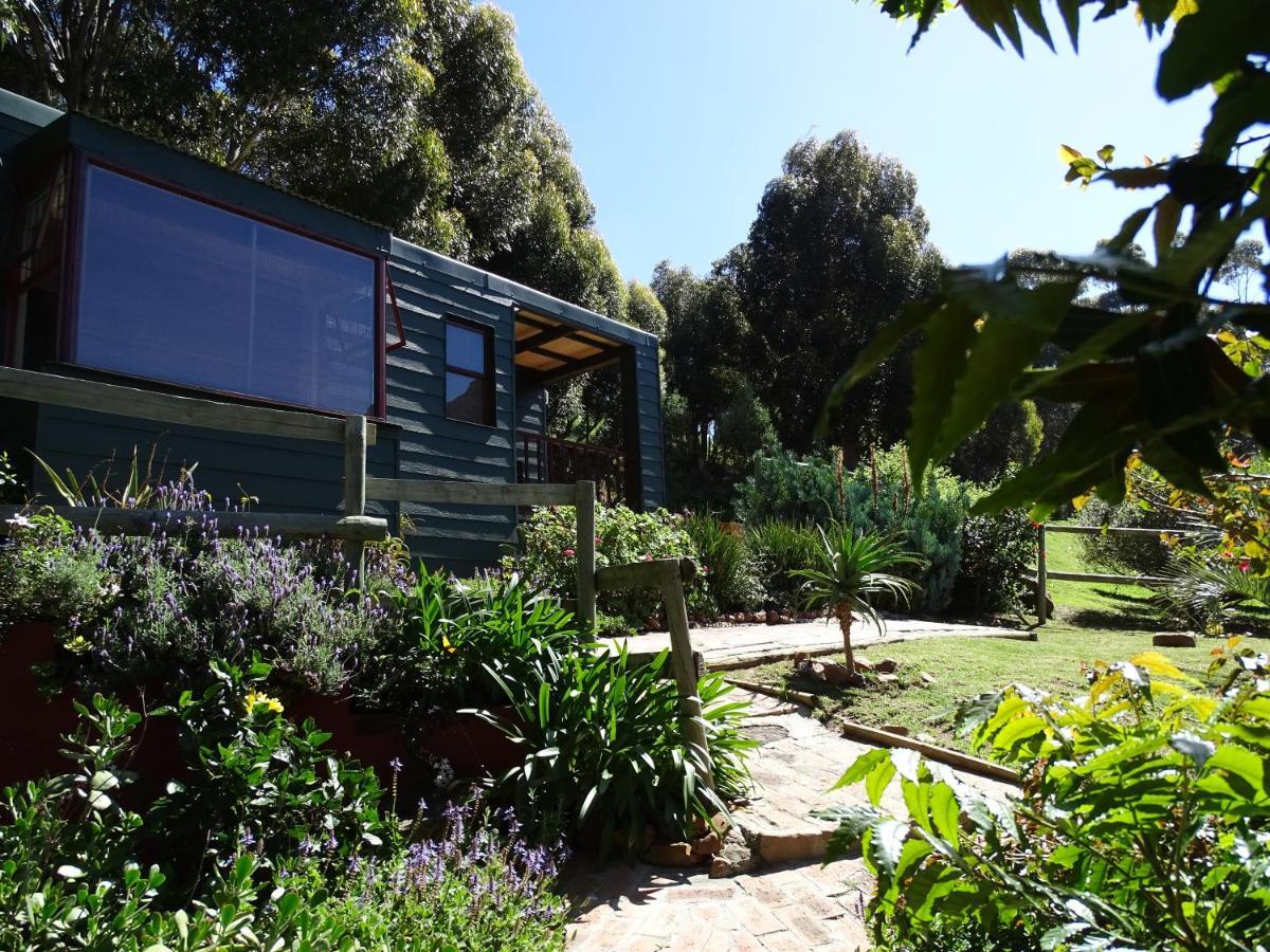 Intaba Lodge Hout Bay Chambre photo