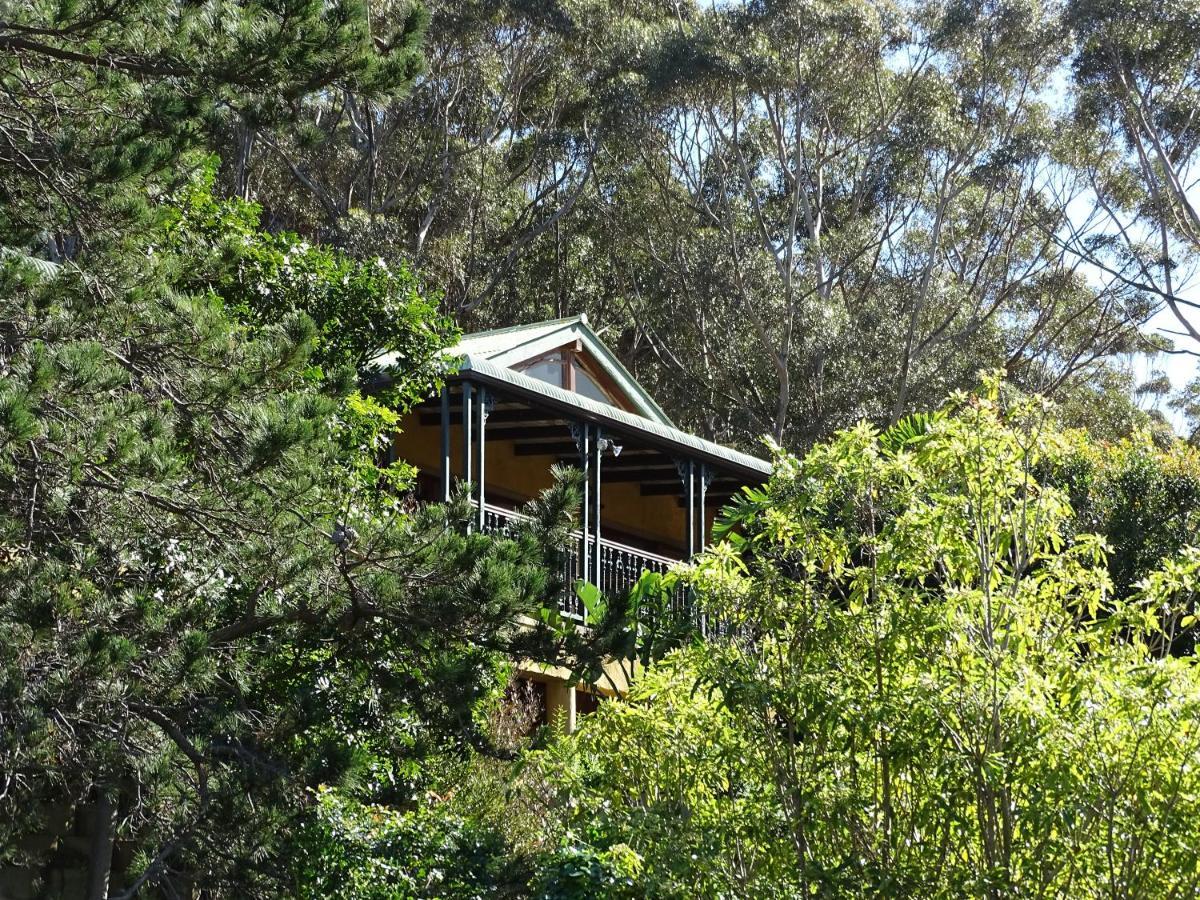Intaba Lodge Hout Bay Extérieur photo